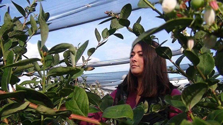 Kilosu 160 TL'den alıcı buluyor: Talep her geçen gün artıyor 5