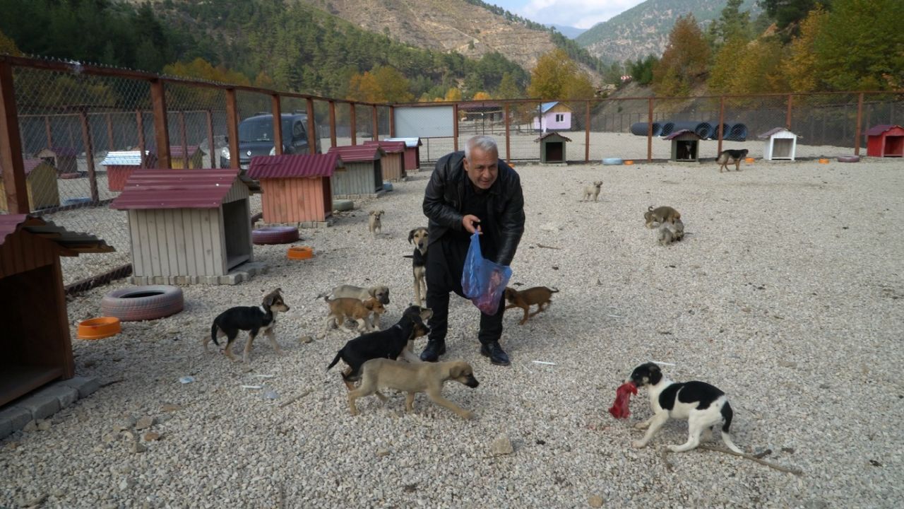 Feke Belediye Başkanı Ahmet Sel: “Fırsatçılara, Fırsatı Kaosa Çevirenlere Göz Açtırmayız.” 19