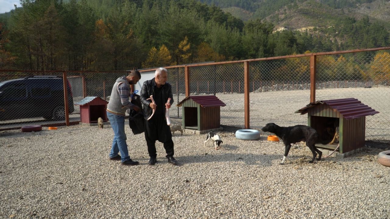 Feke Belediye Başkanı Ahmet Sel: “Fırsatçılara, Fırsatı Kaosa Çevirenlere Göz Açtırmayız.” 17