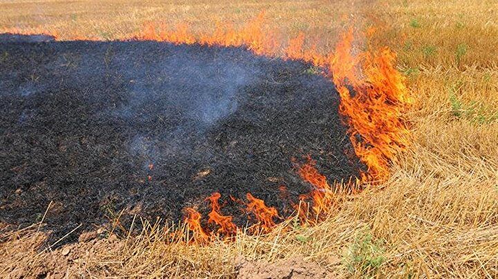 Dikkat! Cezası yeni yılda 2 bin 815 lira oldu 16