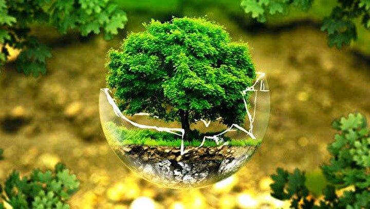 Dikkat! Cezası yeni yılda 2 bin 815 lira oldu 10