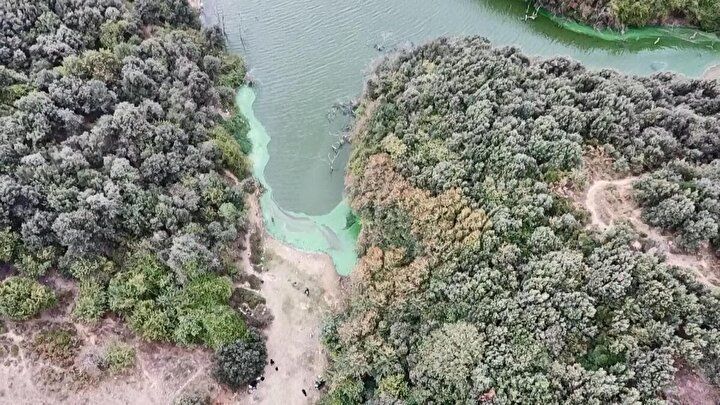 Dikkat! Cezası yeni yılda 2 bin 815 lira oldu 17