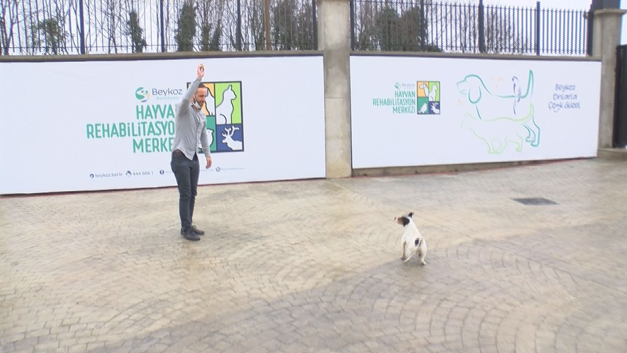 'Maylo'nun yürek burkan hikâyesi 1