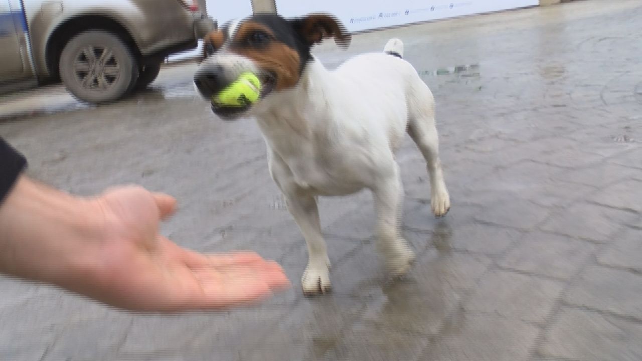 'Maylo'nun yürek burkan hikâyesi 2