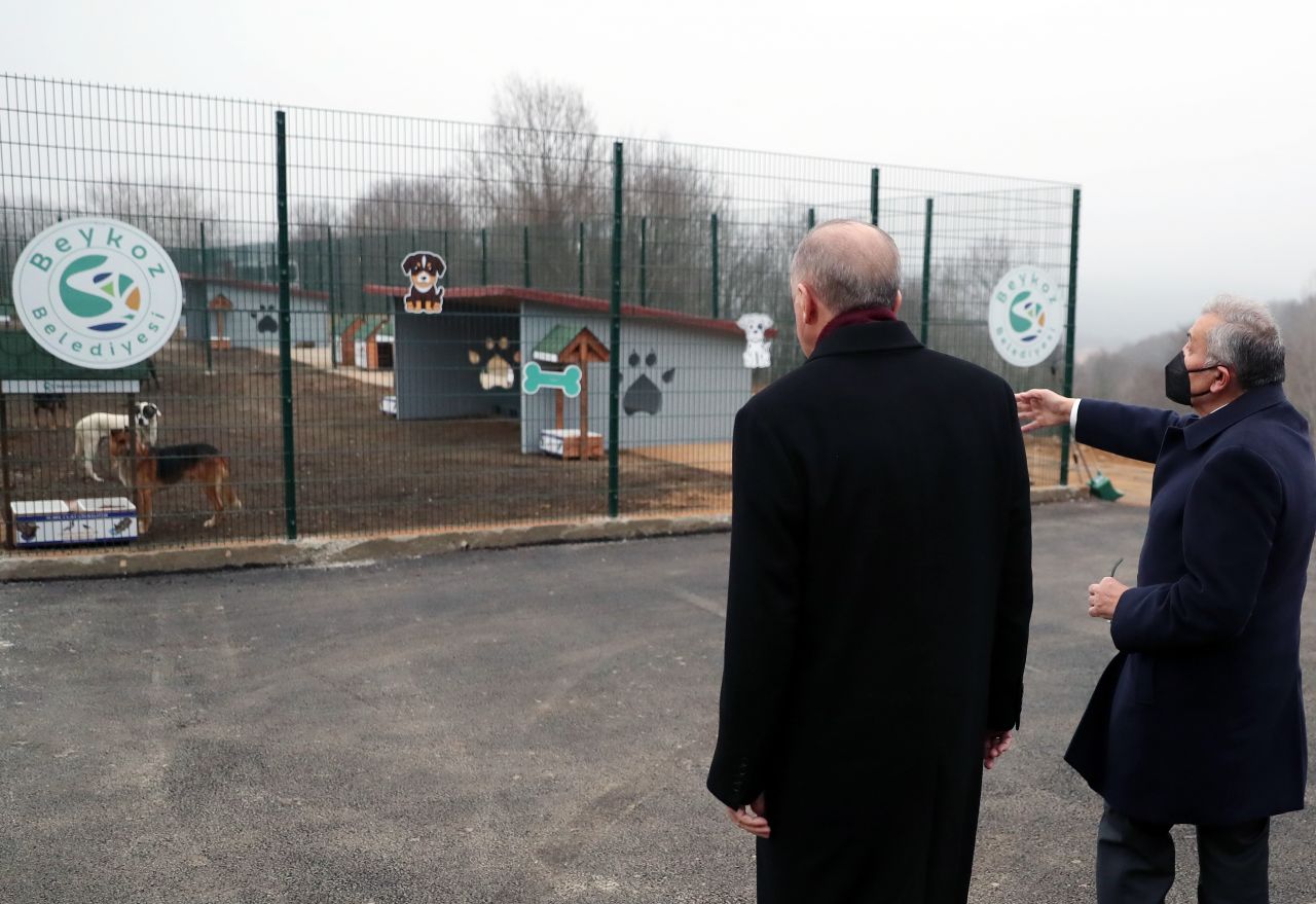 'Maylo'nun yürek burkan hikâyesi 3