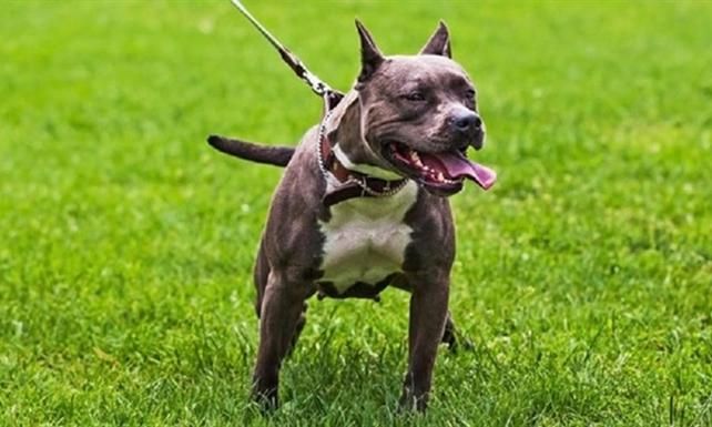 Verilen süre doluyor: Son 3 gün! 6