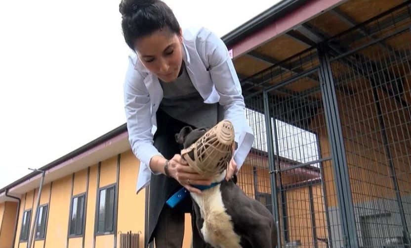 Verilen süre doluyor: Son 3 gün! 8