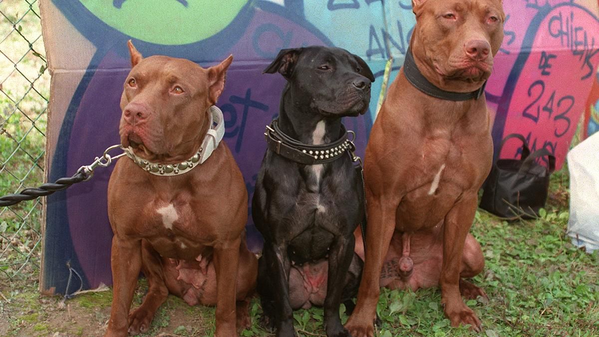 Verilen süre doluyor: Son 3 gün! 2