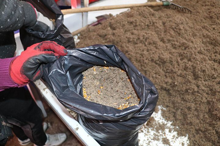 Tadını bilmeden üretti: Yılda 600 bin lira kazandı 3