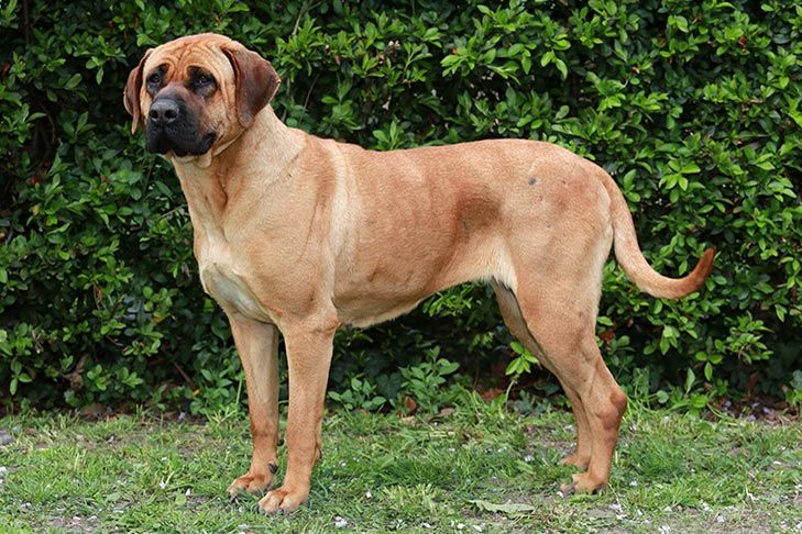 Verilen süre doluyor: Son 3 gün! 5