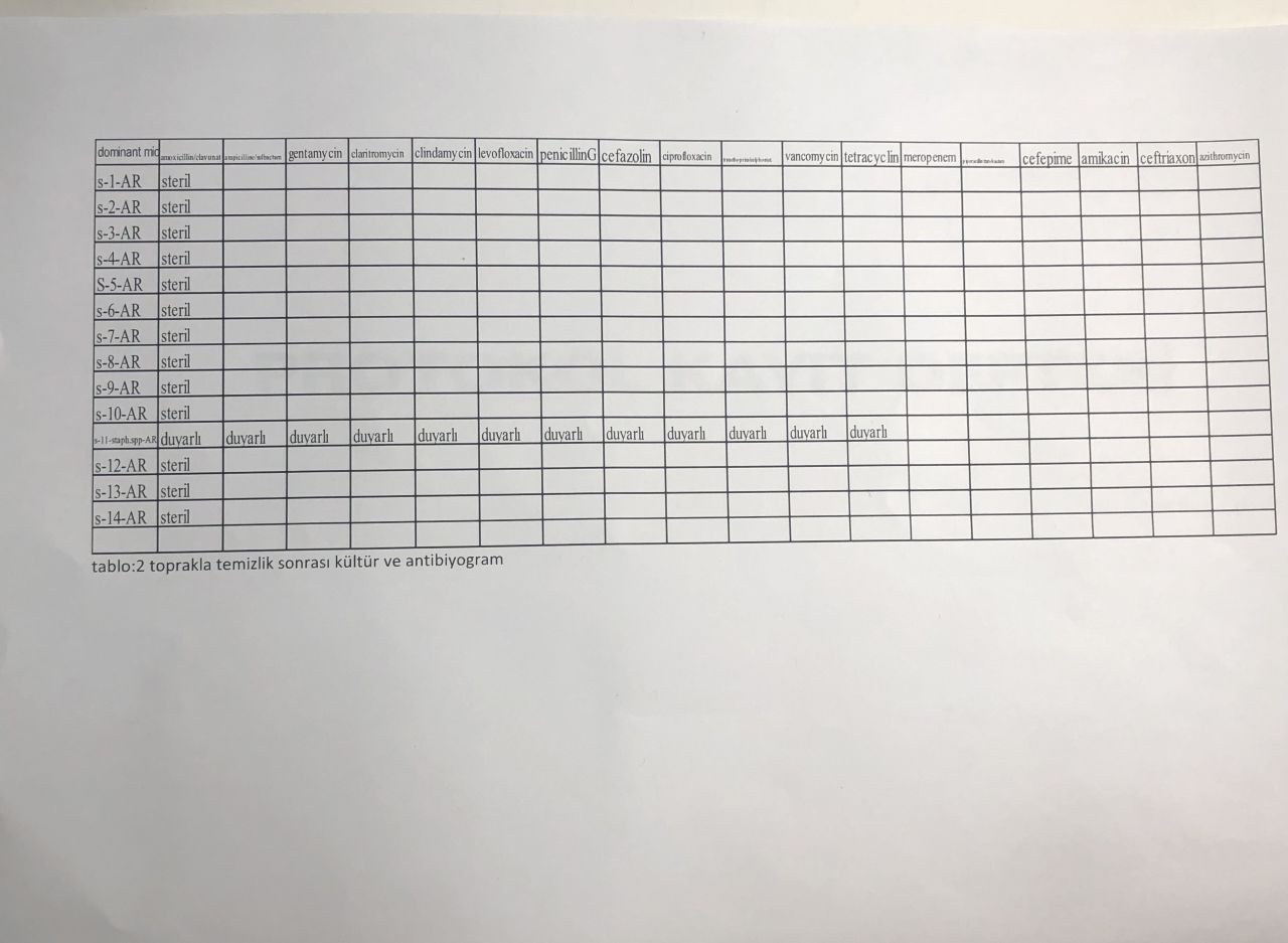 Kur'an-ı Kerim ayetinden yola çıktı! 5