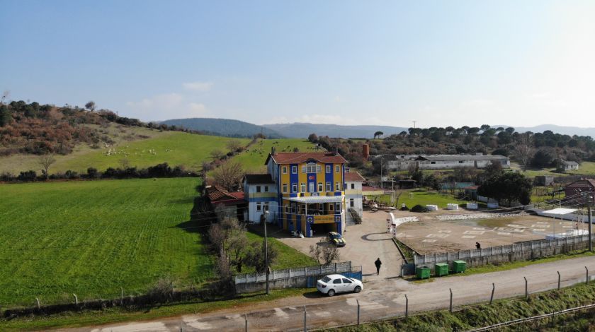 Fanatik Fenerbahçe taraftarından Ali Koç’a çağrı! 19