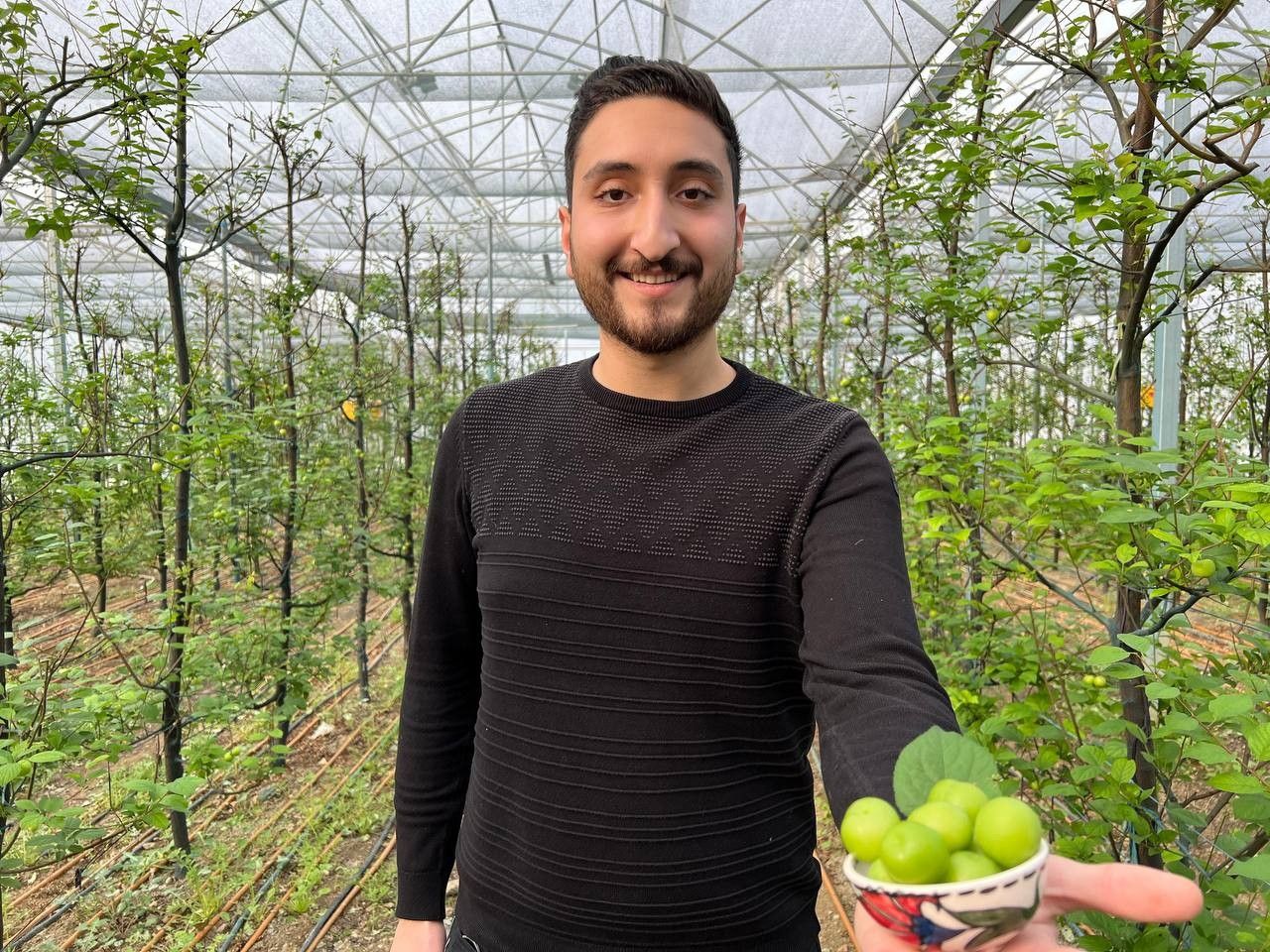 Türkiye'nin en erken hasadını yaptılar! 3