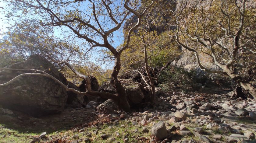 Bulunan kalıntılar insanlık tarihini değiştirecek 4