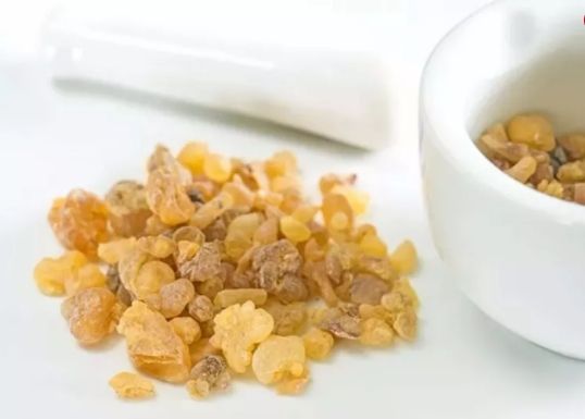 İşte iltihaba meydan okuyan bitki 2