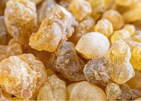 İşte iltihaba meydan okuyan bitki 5