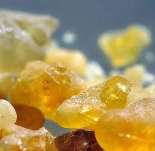 İşte iltihaba meydan okuyan bitki 7