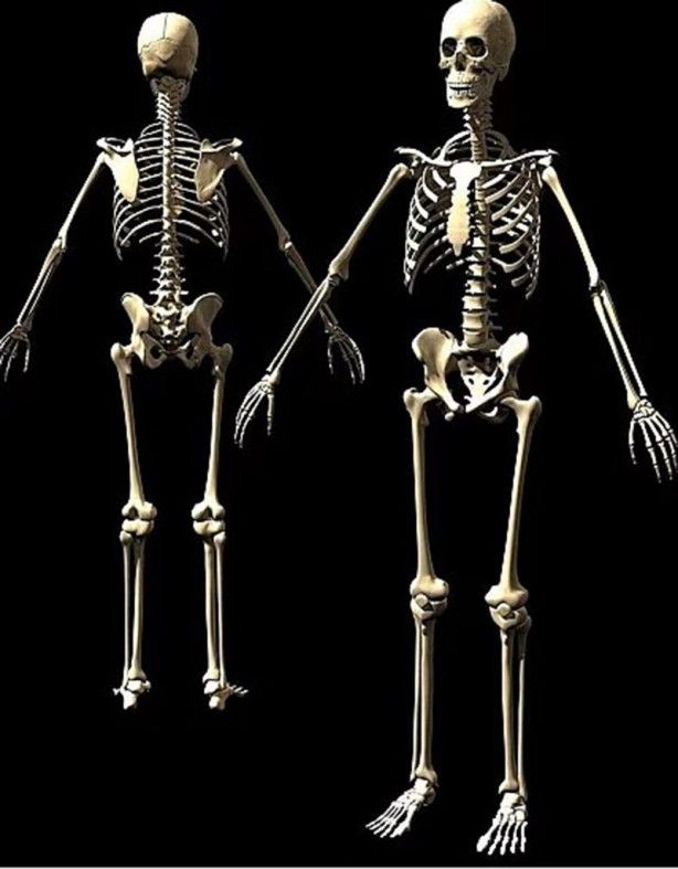 İşte insan vücuduyla ilgili ilginç çivi gerçeği... 4