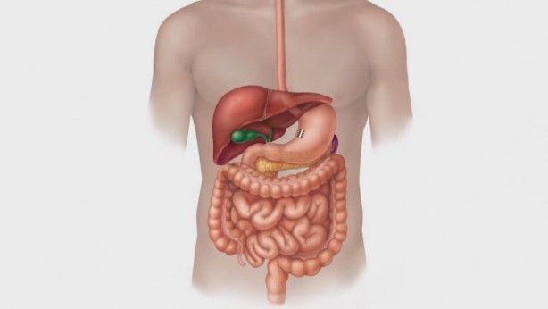 İşte insan vücuduyla ilgili ilginç çivi gerçeği... 7