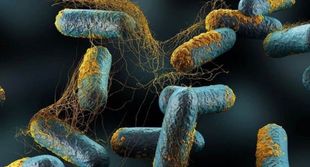 İşte insan vücuduyla ilgili ilginç çivi gerçeği... 8