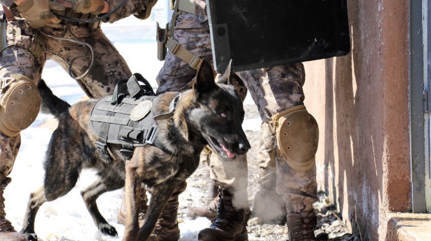 Dünyada sadece 3 tane var biri Türkiye'de! 14