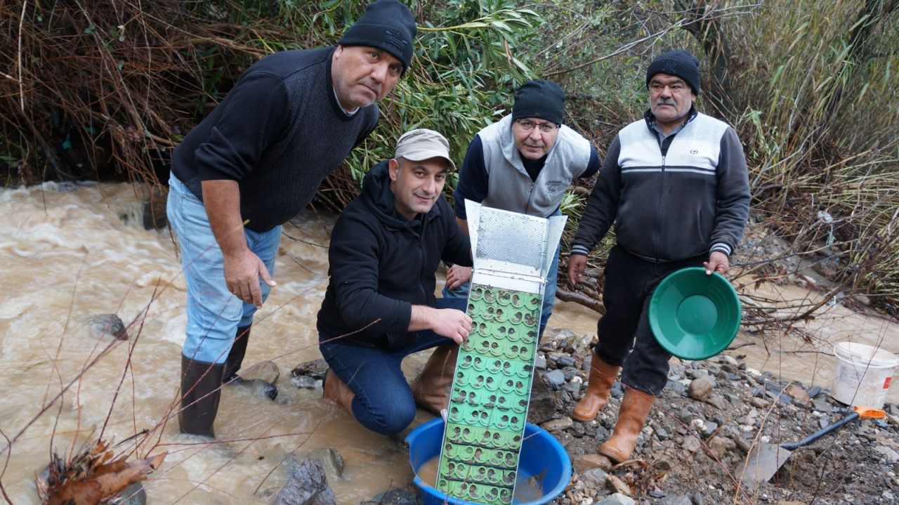 Haftada 7-8 gram buluyorlar 7