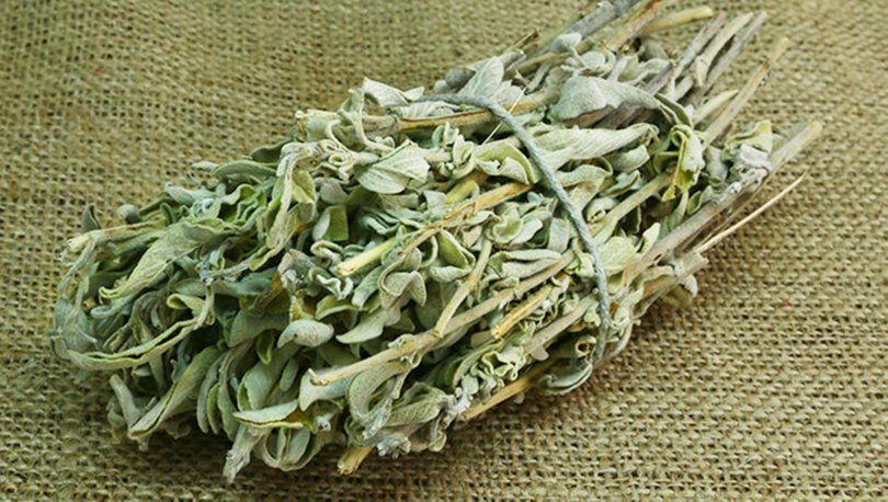 Kur'an-ı Kerim'de adı geçen Lokman Hekim'den şifalı 25 besin önerisi! 22