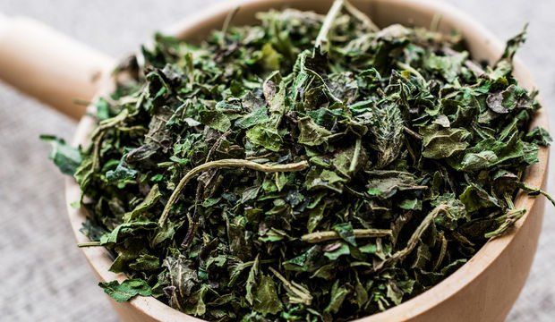 Kur'an-ı Kerim'de adı geçen Lokman Hekim'den şifalı 25 besin önerisi! 3