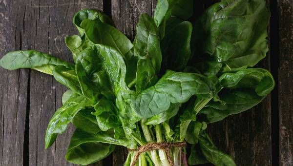 Kur'an-ı Kerim'de adı geçen Lokman Hekim'den şifalı 25 besin önerisi! 14