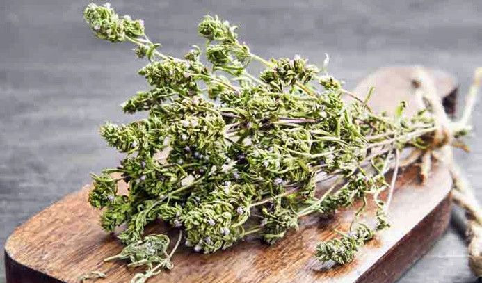 Kur'an-ı Kerim'de adı geçen Lokman Hekim'den şifalı 25 besin önerisi! 23