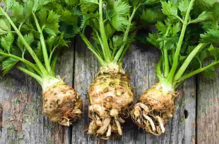 Kur'an-ı Kerim'de adı geçen Lokman Hekim'den şifalı 25 besin önerisi! 17