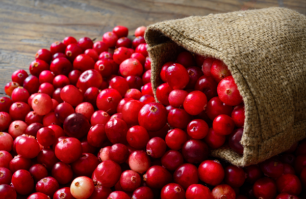 Kur'an-ı Kerim'de adı geçen Lokman Hekim'den şifalı 25 besin önerisi! 6