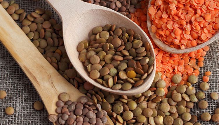 Kur'an-ı Kerim'de adı geçen Lokman Hekim'den şifalı 25 besin önerisi! 19