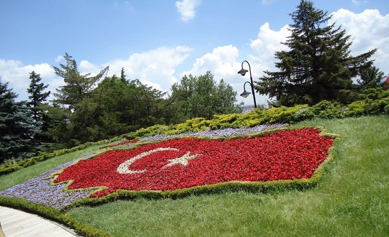Dünyanın en zeki ülkeleri listesinin zirvesi şaşırttı! Türkiye bakın kaçıncı sırada... 12