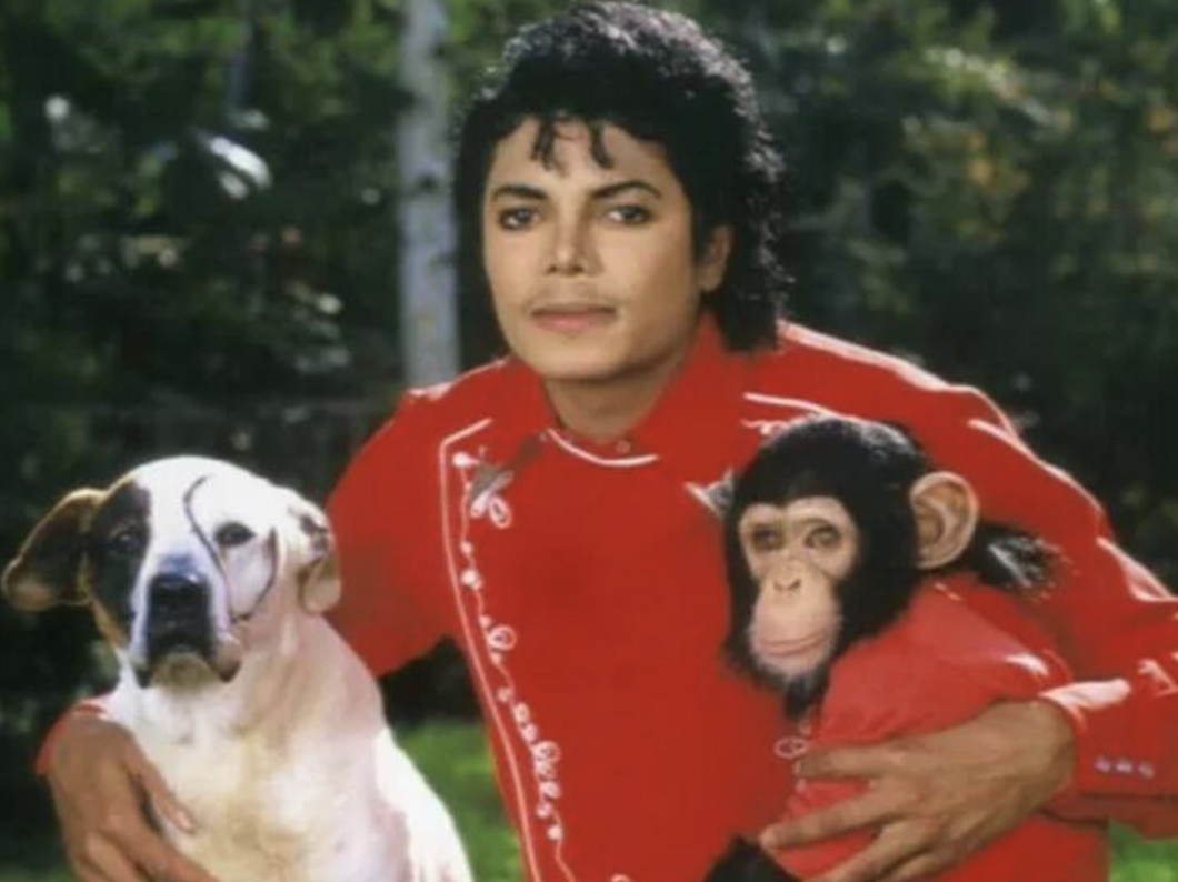 Bazıları mesleğe ara verdi, bazıları ölümden döndü 22