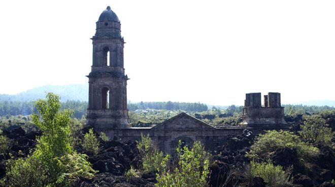 İnsanlar terk etti, doğa evladı gibi sahip çıktı! 1