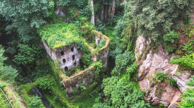 İnsanlar terk etti, doğa evladı gibi sahip çıktı! 2