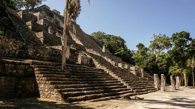 İnsanlar terk etti, doğa evladı gibi sahip çıktı! 6