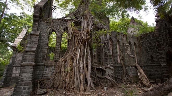 İnsanlar terk etti, doğa evladı gibi sahip çıktı! 8