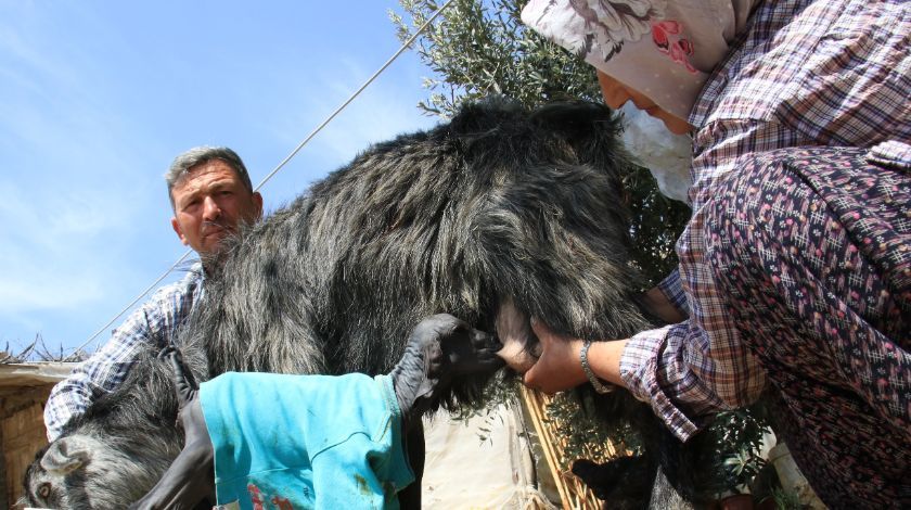 'Allah'ın hikmeti, böylesini görmedik' 2