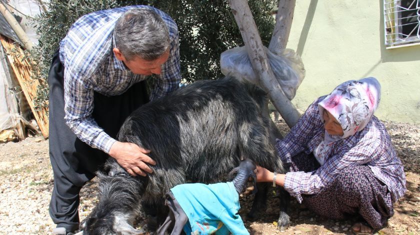 'Allah'ın hikmeti, böylesini görmedik' 3