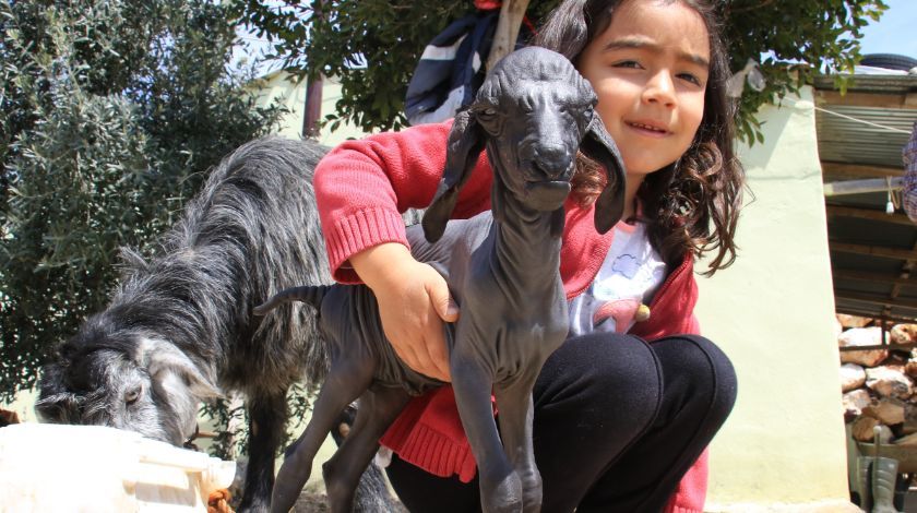 'Allah'ın hikmeti, böylesini görmedik' 5