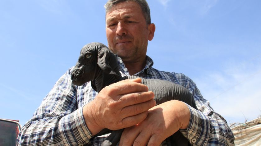 'Allah'ın hikmeti, böylesini görmedik' 8