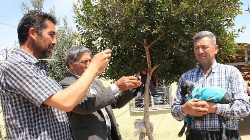 'Allah'ın hikmeti, böylesini görmedik' 9