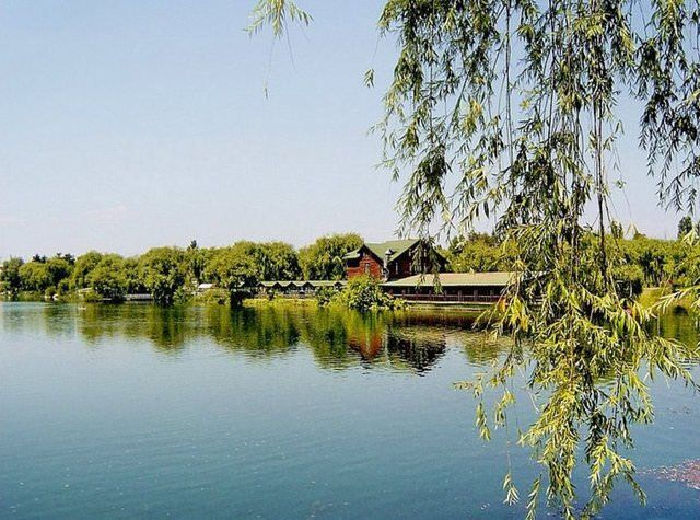 Seçim Kanunu değişti, yeni rakamlar belli oldu! Hangi il kaç milletvekili çıkaracak? 80