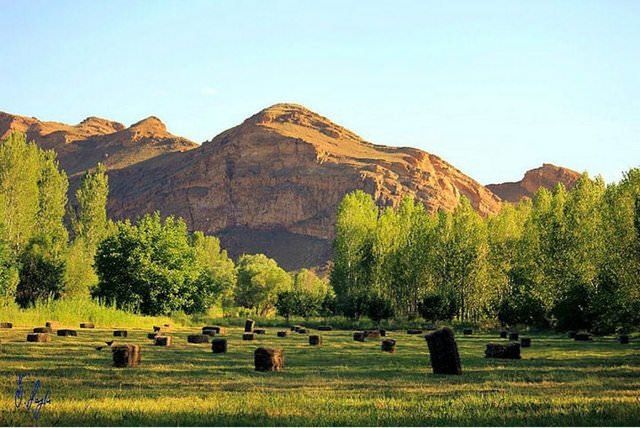 Seçim Kanunu değişti, yeni rakamlar belli oldu! Hangi il kaç milletvekili çıkaracak? 85