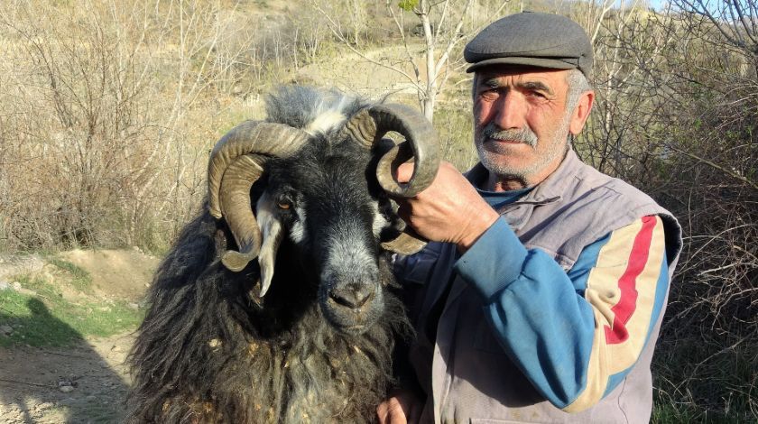 Kafasını çevirince farkı hemen ortaya çıkıyor 2