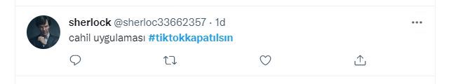 Tiktok, Türkiye'de gündeme oturdu... Pakistan'da da kapatılmıştı! 28