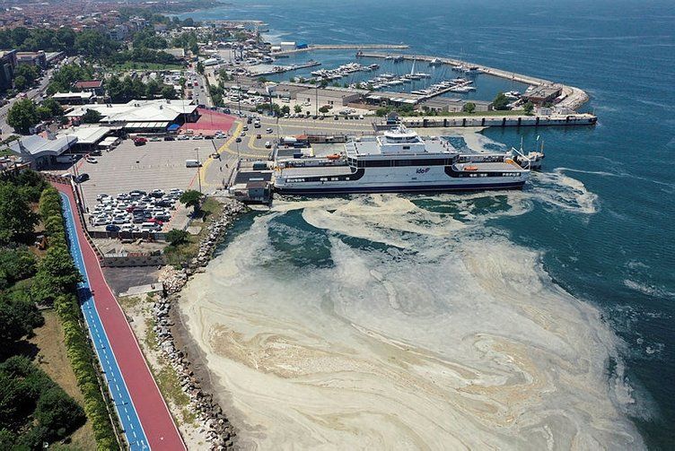 Marmara'daki müsilajın sebebi belli oldu! 5
