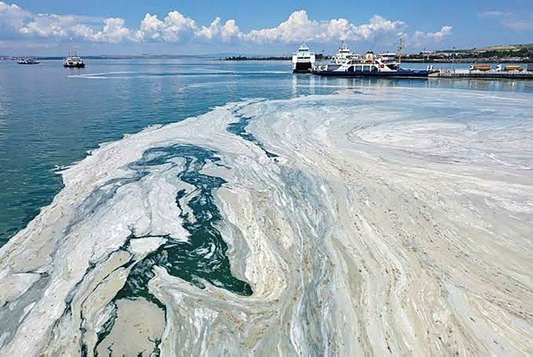 Marmara'daki müsilajın sebebi belli oldu! 6